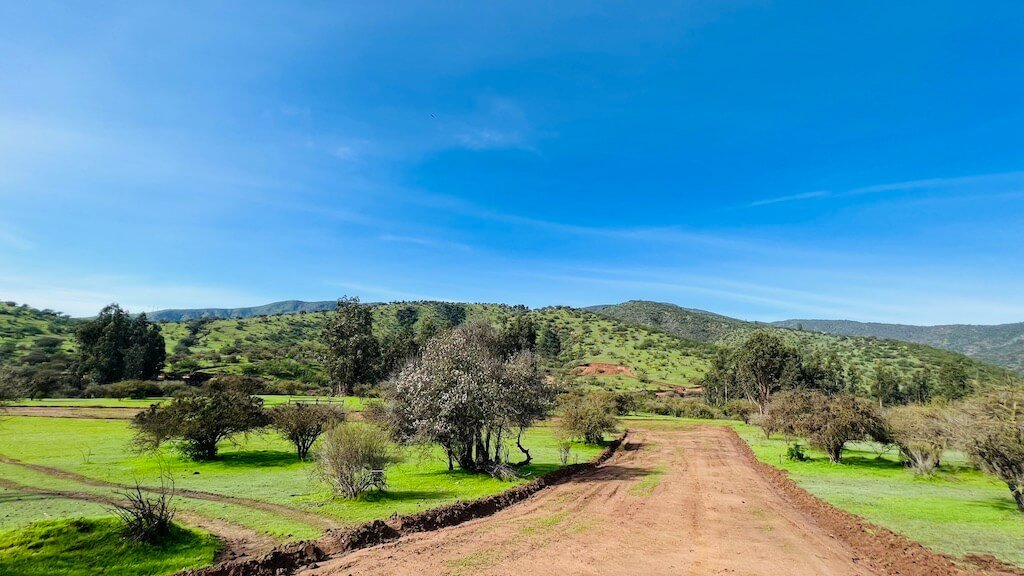 parcelas-coterranea